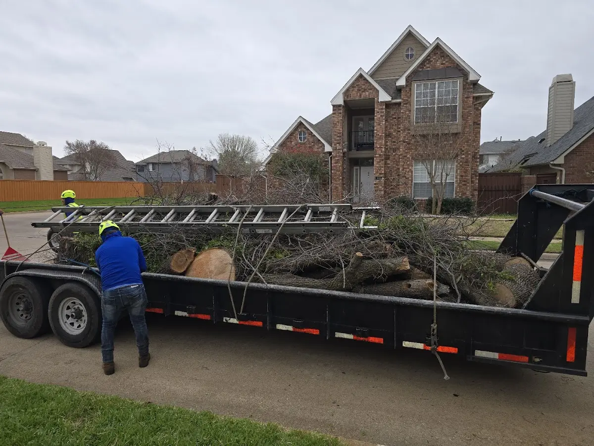 Expert Lot Clearing with proper safety equipment in Concho
